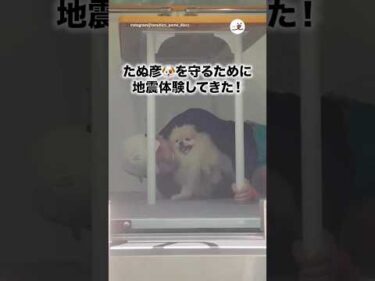愛犬を守るために地震体験してきた！｜PECO