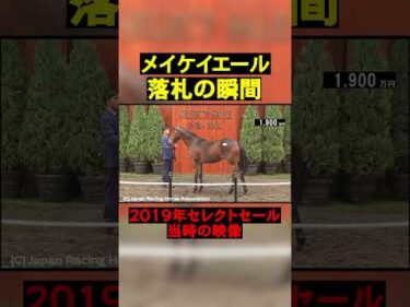 のちのアイドル馬・メイケイエールの1歳時#競馬  #horse   #池添謙一  #shorts