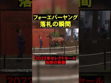 ダート王フォーエバーヤング、1歳時のセレクトセール#競馬  #horse  #セレクトセール  #shorts