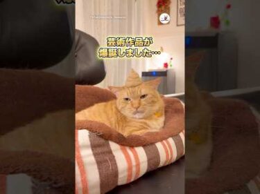 猫の毛で作った芸術作品がこちら｜PECO