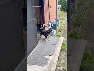 ベルを鳴らしたら…｜PECO