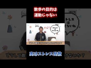 散歩は運動のためじゃない。犬に必要な本当の理由