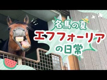 名馬エフフォーリア、のんびり暮らしています
