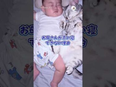 お母さんが添い寝できない理由｜PECO