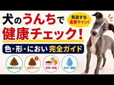 犬のうんちで健康チェック！危険サインを見逃すな【色・形・におい完全ガイド】【見やすく改良】