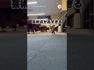 最高得点をつけたい｜PECO