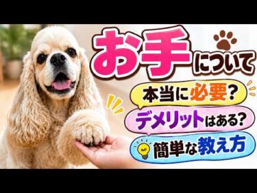 犬に「お手」は必要？教える前に知ってほしいメリット・デメリット【見やすく改良】