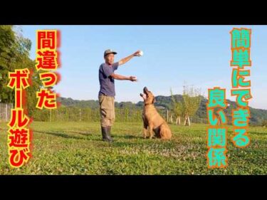 【犬のしつけ】日常生活の中で簡単に従順な犬にする方法と飼い主の勘違い