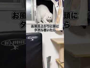 お風呂上がりに頭にタオル巻いてたら｜PECO