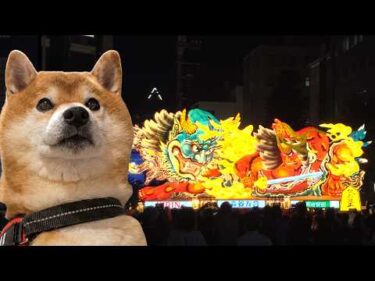 柴犬と初めての青森ねぶたへ