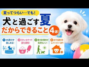 夏だからこそ楽しめる！犬との暮らしがもっと楽しくなる4つのこと【見やすく改良】