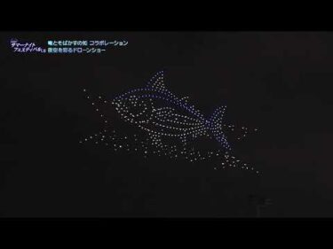 第22回サマーナイトフェスティバル　ドローンショー