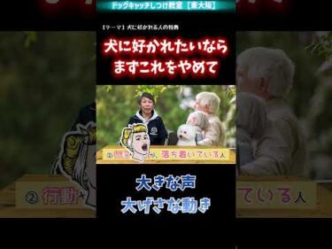 【犬】犬に近づくとき、こんな行動していませんか？