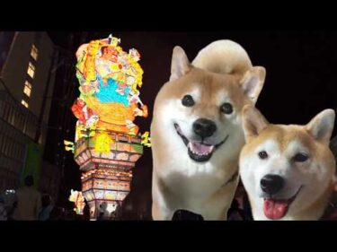 柴犬と初めて見る“巨大な祭り”に圧倒されました。