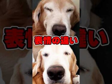 あからさますぎる表情の違い｜PECO