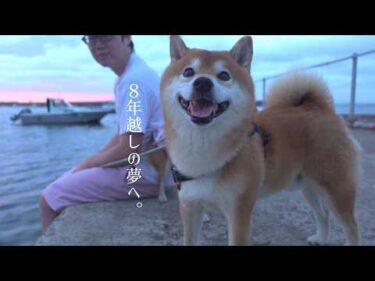 【ご報告】ハチ家、夢に向けて動きます。
