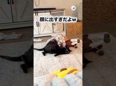 顔にですぎだよw｜PECO
