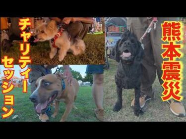 【噛む・破壊・吠える】まとめて解決！熊本震災チャリティセッション