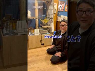 猫好きなパパさんに内緒で子猫を迎えたら…｜PECO