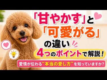 犬を甘やかしていませんか？「可愛がる」との決定的な違いとは【見やすく改良】