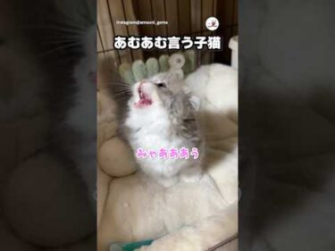 あむあむあむ…｜PECO
