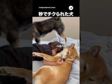 カプってしたことチクられた｜PECO