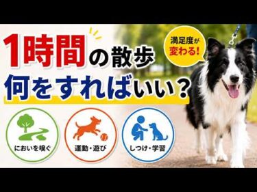 犬の散歩は1時間必要？理想の散歩時間とは？【見やすく改良】