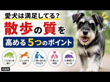 愛犬は散歩に満足してる？充実度がわかる5つのチェックポイント【見やすく改良】