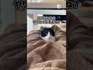 ここにいたらやりたくなるよね？｜PECO