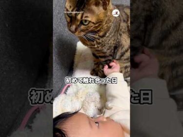 初めて触れ合って…｜PECO