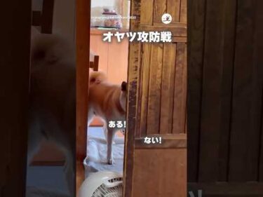 ない！ある！｜PECO