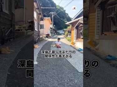 深島で暮らすふたりの関係性が尊すぎる｜PECO