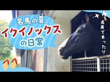 【名馬の夏】最強馬イクイノックスのまったりした日常