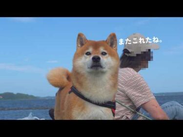 柴犬との車中泊、お袋には忘れられない場所がありました。