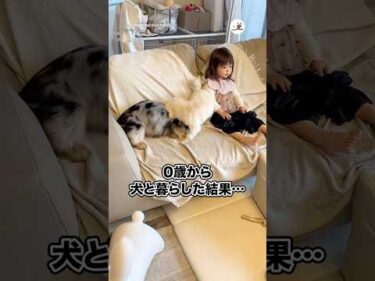 0歳から犬と暮らした結果…｜PECO