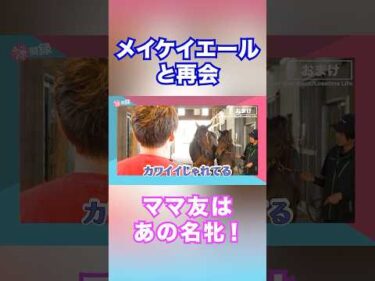 メイケイエールと池添騎手が再会！ ママ友の名牝とは？ #shorts #池添謙一 #クロノジェネシス  #horse #競馬