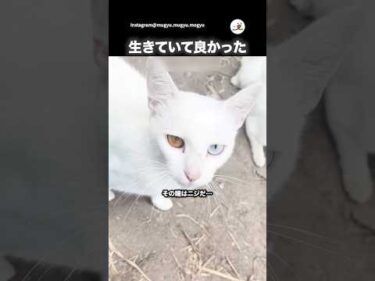 みんな生きていて良かった｜PECO