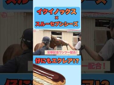 池添謙一騎手がスルーセブンシーズと再会！！