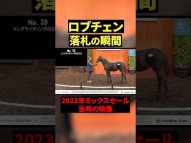未来の三冠馬候補ロブチェン、すべての始まり