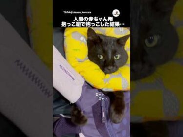 抱っこ紐を使ってたら…｜PECO