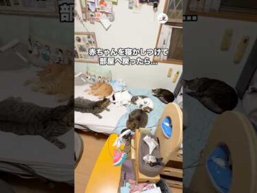 赤ちゃんを寝かしつけて部屋へ戻ったら…｜PECO