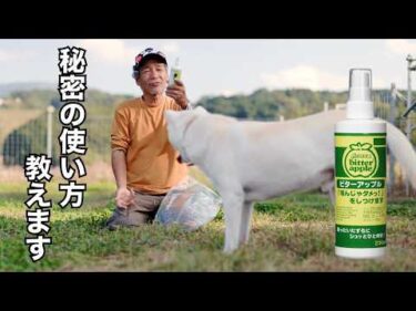 破壊行動の救世主！ビターアップル極秘の使用方法教えます