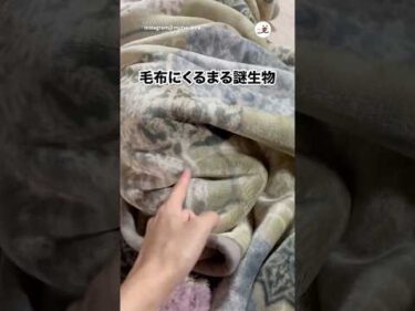 この正体は…！？｜PECO