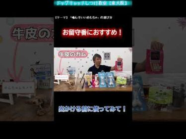 犬のお留守番、出かける前の「噛むおやつ」が効果的？【犬のしつけ】