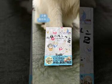 『今日のルンルン２　超大型犬は愛もでかい』発売中！