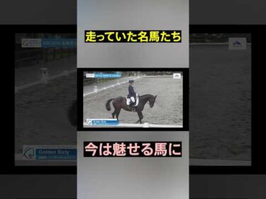 ゴールデンシクスティやシルヴァーソニックらが馬場馬術に挑戦！！