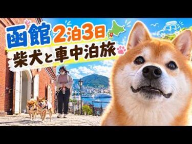 柴犬と函館へ2泊3日の車中泊旅。まさかの連続でした