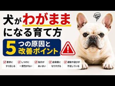 犬がわがままになる育て方5選！知らないうちにやっていませんか？【見やすく改良】