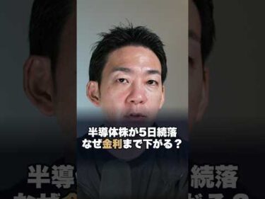 【意外】AIのバブル終焉と米国金利の関係性