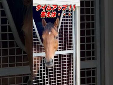 【この馬だ〜れ？】この顔に見覚えある？#shorts  #クイズ  #競馬  #horse
